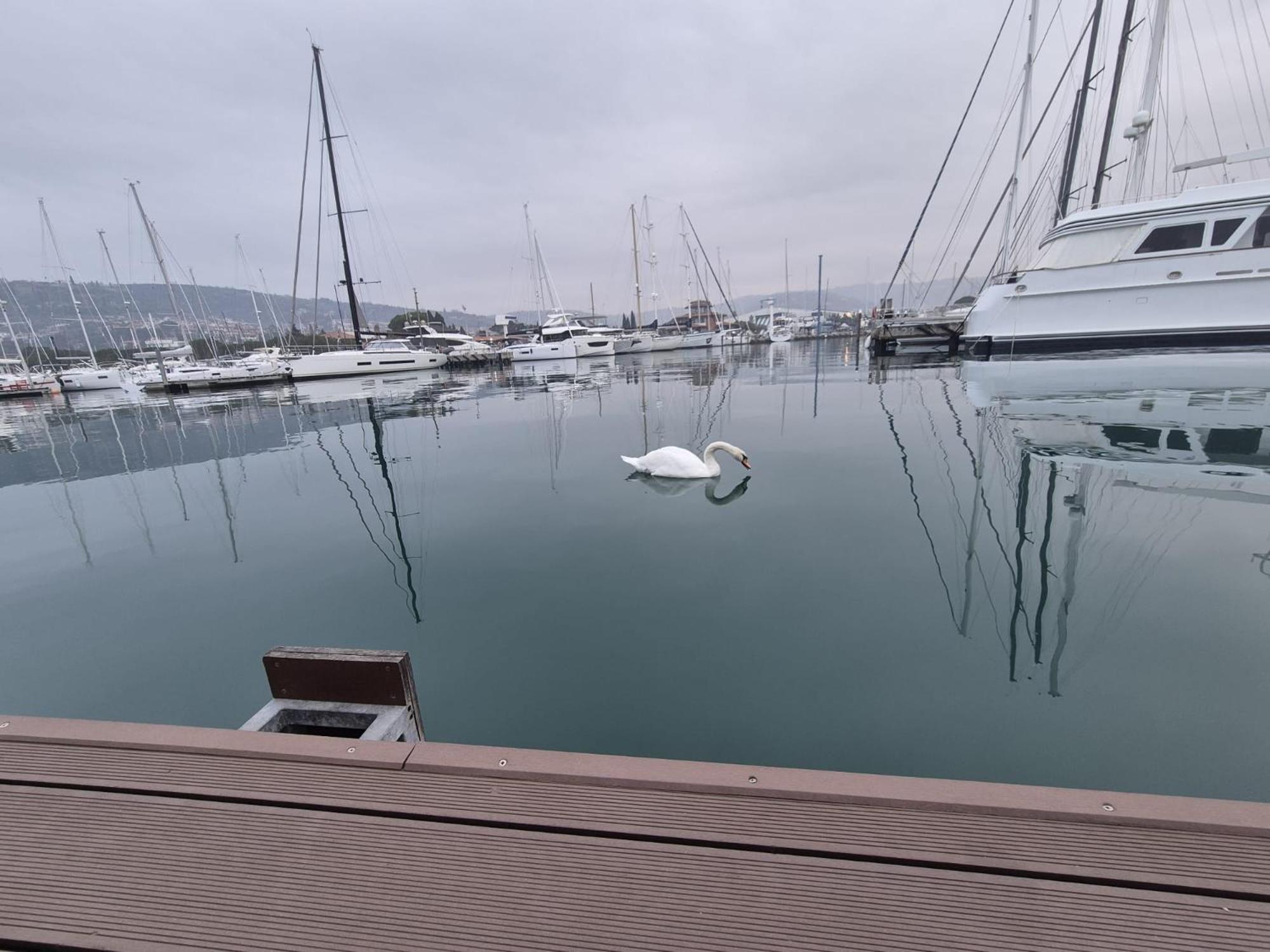 Floating Sea House Aurora Villa Portoroz Ngoại thất bức ảnh