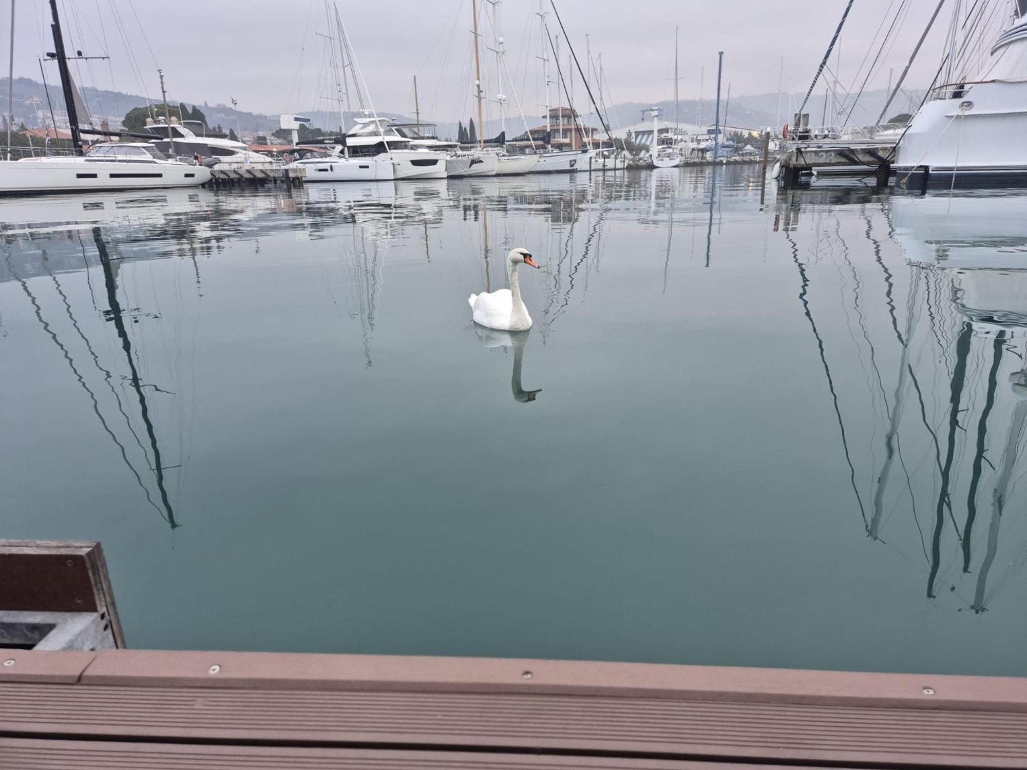 Floating Sea House Aurora Villa Portoroz Ngoại thất bức ảnh